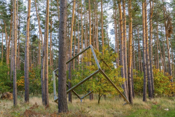 Art installation with large wooden cubes, artist Susken Rosenthal, International Art Trail, Hoher