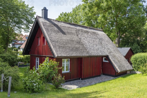 Traditional red country house with thatched roof in a green garden area, Rügen, Hiddensee