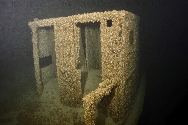 The driver's cabin of a submerged shipwreck is covered with mussels, Quagga triangle mussel