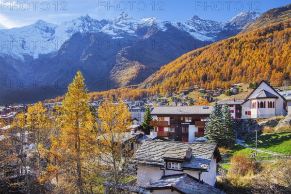 View of the village with Dom 4545m and Täschhorn 4491m of the Mischabel group in autumn, Saas-Fee,