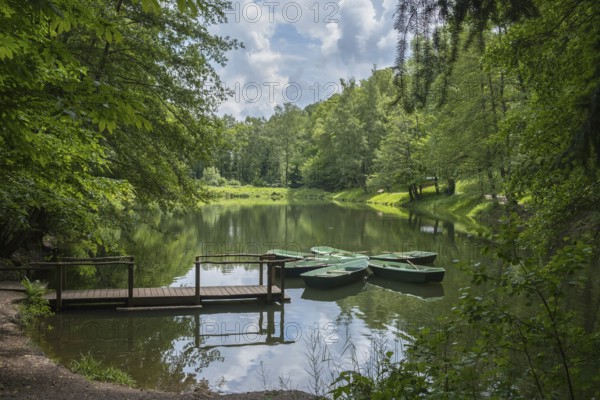 Boats anchored on the Hilschweiher, Edenkobener Tal, Palatinate Forest, Palatinate,