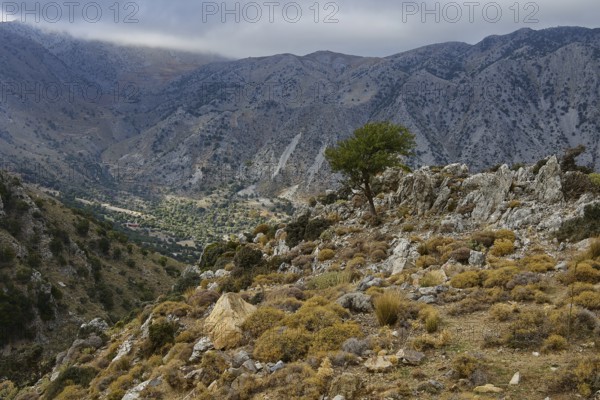 Calm mountain scene with rocky foreground and a weather-beaten sky, Kallikratis, Kallikratis Gorge,