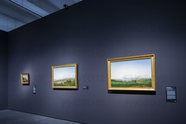 Anniversary exhibition on Caspar David Friedrich at the Albertinum. The painting The Cross in the