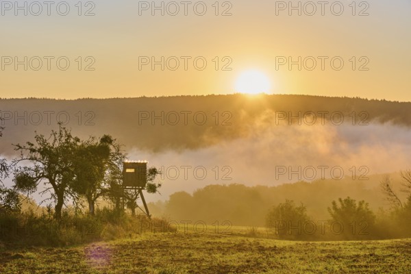 A sunrise over a field with a raised hide, surrounded by trees and fog in a quiet morning