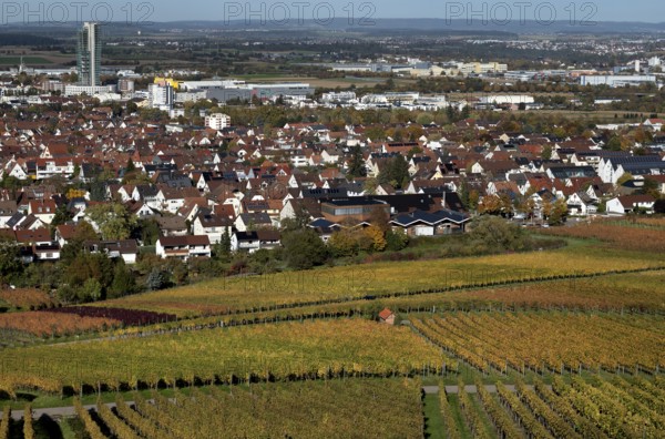 View of half-finished high-rise building GEWA-Tower, ruined building, vineyard, vines, vine