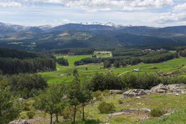 Panoramic view of a green mountain landscape with forests, meadows, snow-capped mountains and blue