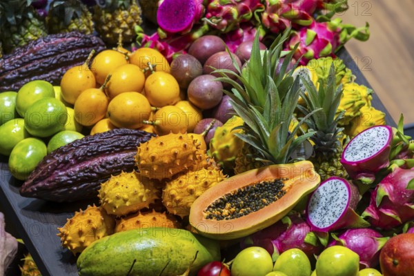 Exotic fruits, lychee, jackfruit, dragon fruit, mango and citrus fruits presented on a table,