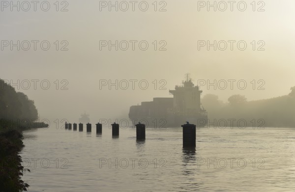 Container ship sailing in fog in the Kiel Canal, Kiel Canal, Schleswig-Holstein, Germany, Europe