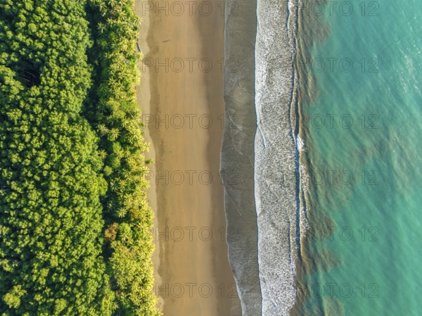Top-down, aerial view, waves, beach and rainforest, Marino Ballena National Park, Osa National