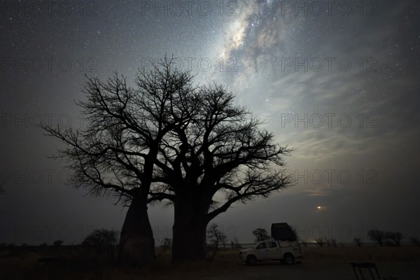 Off-road vehicle on a campsite with African baobab or baobab tree (Adansonia digitata), starry sky