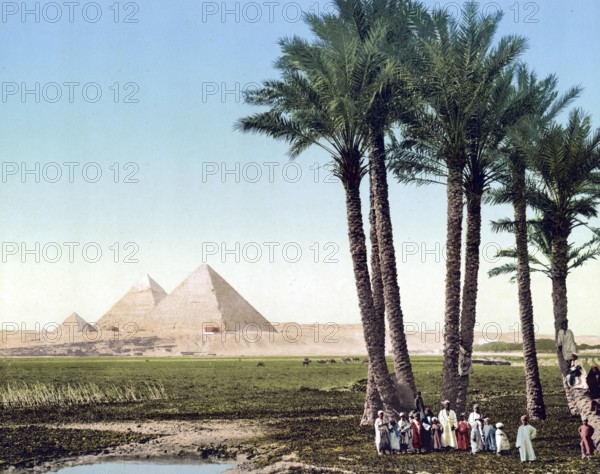 Palms and the Great Pyramid near Cairo, Egypt, Historical, digitally restored reproduction from a