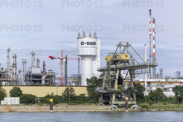 BASF, Lugwigshafen am Rhein, industrial area, Mannheim, Baden-Württemberg, Germany, Europe