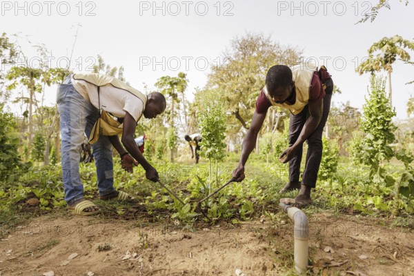 Farmers practising organic farming at the agroecological training centre Centre Beo-Noree in
