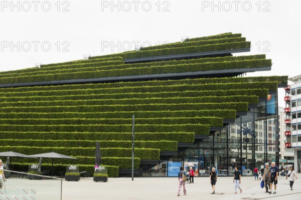 Kö-Bogen II office and commercial building, façade planted with hornbeam hedges, architect