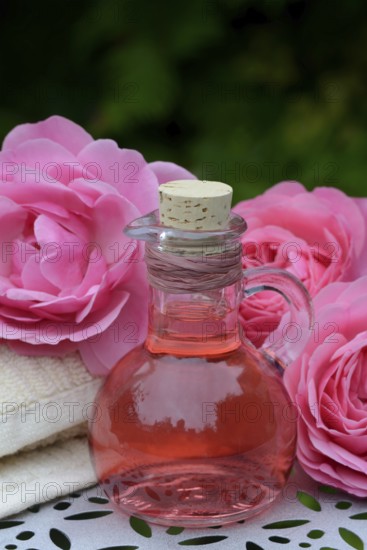 Rose blossom foam bath and rose blossoms, wellness