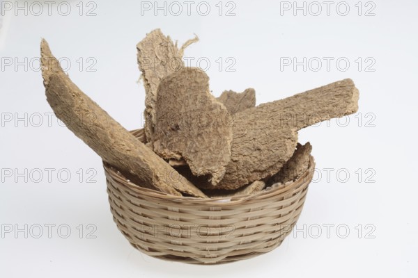Bark of the god tree of heaven (Ailanthus altissima), medicinal plant of Chinese medicine