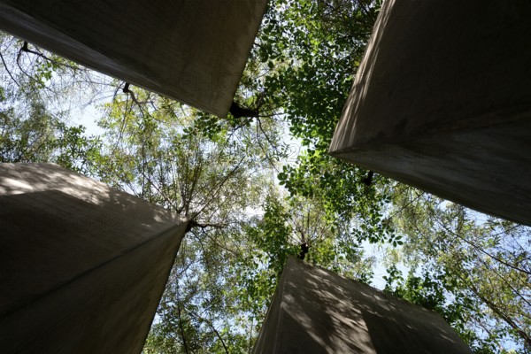 Jewish Museum Berlin, architect Daniel Libeskind, Garden of Exile, Berlin, Germany, Europe