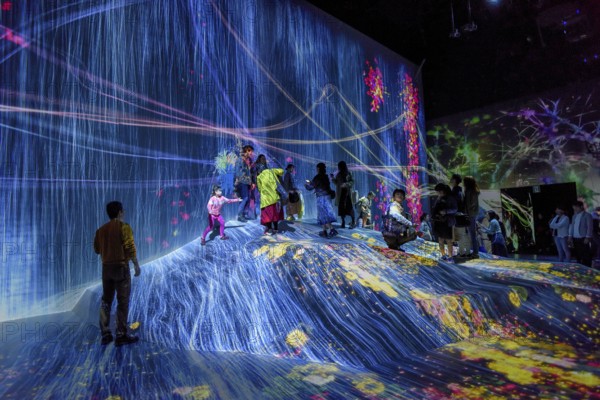 Digital Art Museum, Epson Team Lab Borderless, Odaiba Island, Tokyo, Japan, Asia