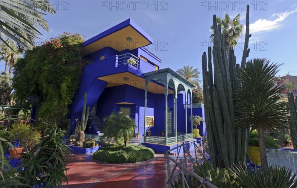 Morocco, Jardin Majorelle Botanical Garden in Marrakech, Africa