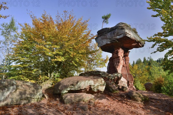 Devil's Table Natural Monument, Palatinate Forest, Rhineland-Palatinate, Germany, Europe