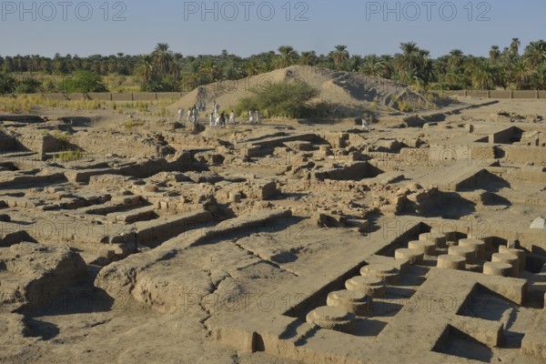 Workers digging in the excavation field of Dukki Gel, near Kerma, Northern State, Nubia, Nile