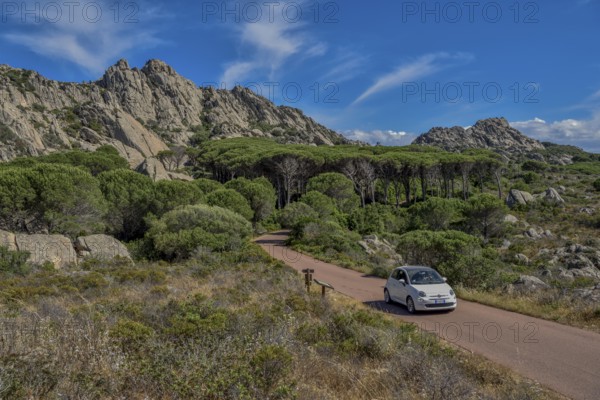 Mountain landscape with pine, car on road, Caprera island, Olbia-Tempio Province, Sardinia, Italy,