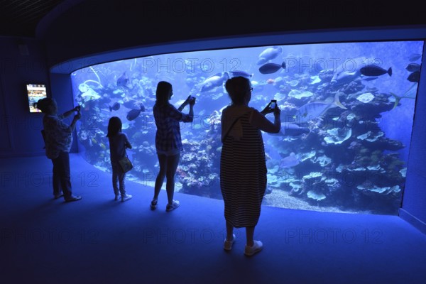 Visitors taking pictures in front of the Big Blu Basin, Palma Aquarium, Palma de Mallorca, Majorca,