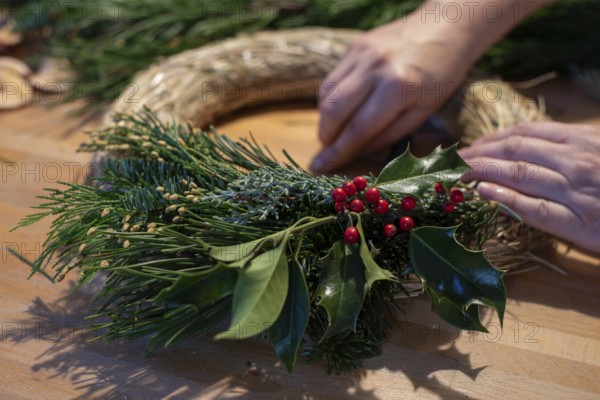 Advent wreath, holly, fir greenery, Germany, Europe