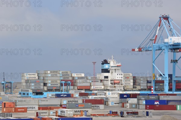 Crane loading of a container ship at the container terminal in the port of Zeebrugge, Belgium,