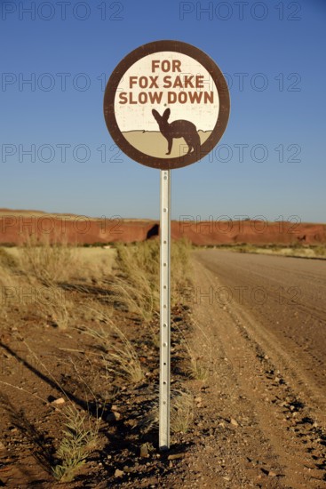 Sign Caution Bat-eared foxes (Otocyon megalotis), Gondwana Namib Park, near Sesriem, Hardap Region,