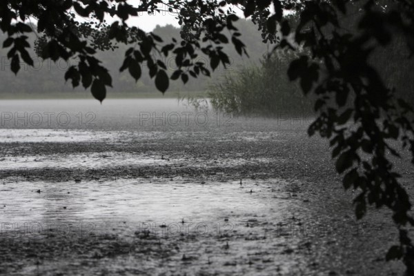 Raindrops, heavy rain, thunderstorm, Müritz National Park, Mecklenburg-Vorpommern, Germany, Europe