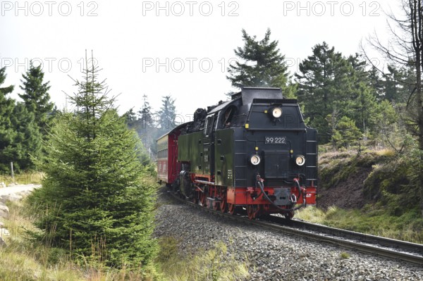 Harz narrow-gauge railway on the way to the Brocken, Saxony-Anhalt, Germany, Europe