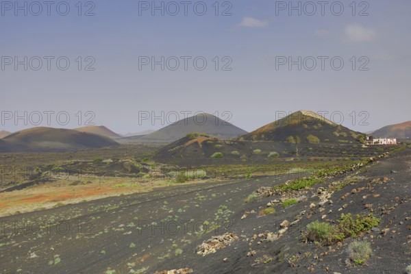 Volcanic landscape around La Geria, Lanzarote, Canary Islands, Spain, Europe
