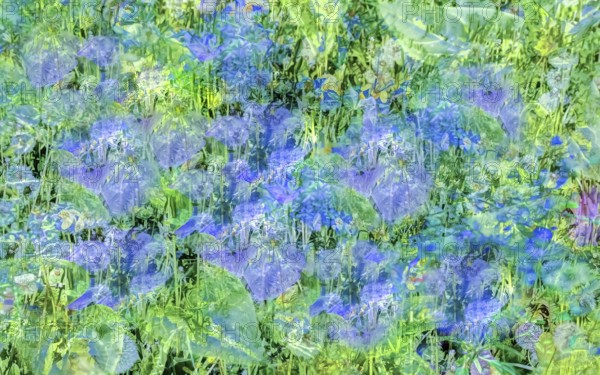 Oil painting, purple flowers creative, different plants mixed, artistic shot, purple flowers