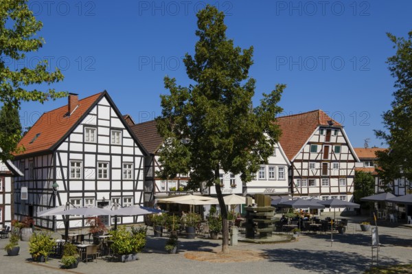 Council fountain and half-timbered houses at Vreithof, Old Town, Soest, North Rhine-Westphalia,