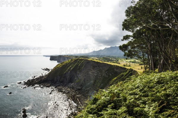 Steep coast, Ribadesella, Asturias, Asturias, Costa Verde, Northern Spain, Spain, Europe