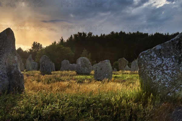 Menhirs near Carnac, megalithic culture, sunset, backlight, Brittany, France, Europe