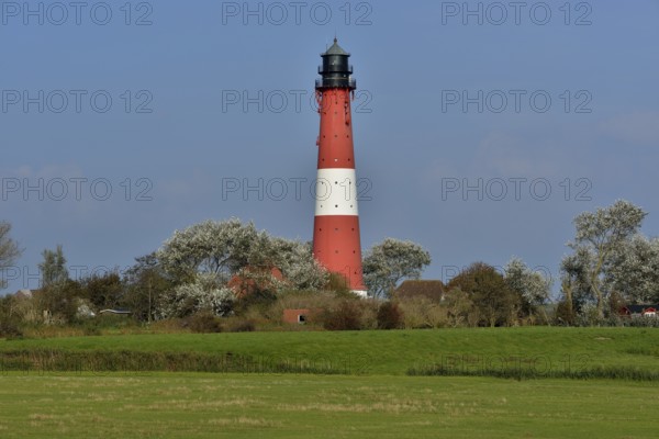 Lighthouse, island of Pellworm, North Frisia, Schleswig-Holstein, Germany, Europe