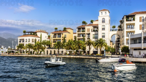 Luxury yacht marina, Porto Montenegro, Bay of Kotor, Montenegro, Tivat, Montenegro, Europe