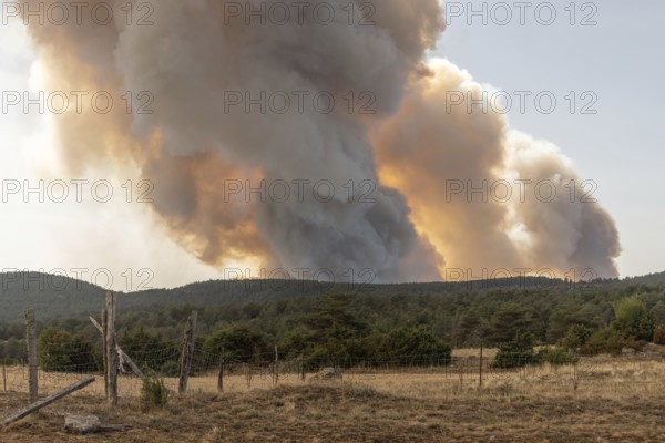 Forest fire wreaks havoc on causse de sauveterre. Montuejols, Aveyron, Cevennes, France, Europe