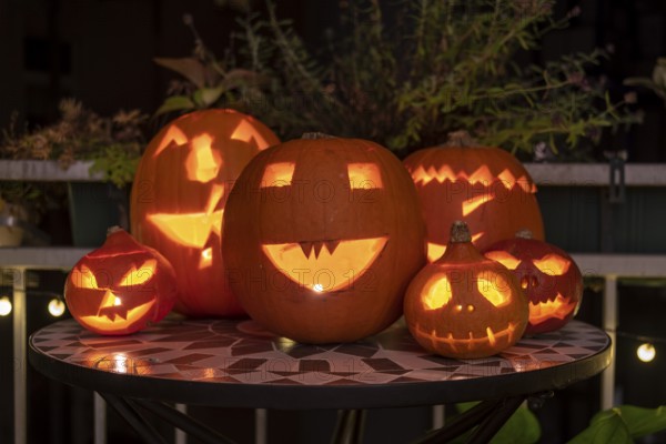 Pumpkin frats, carved pumpkins, Halloween, Germany, Europe