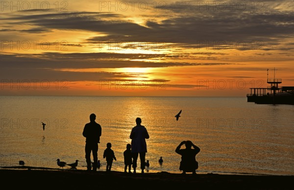 Family (silhouettes) feeding seagulls in the sunrise, Baltic Sea, Schleswig-Holstein, Germany,