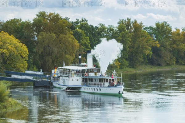 Steamship Leipzig from 1929 of the Sächsische Dampfschifffahrtsgesellschaft casting off in Dresden