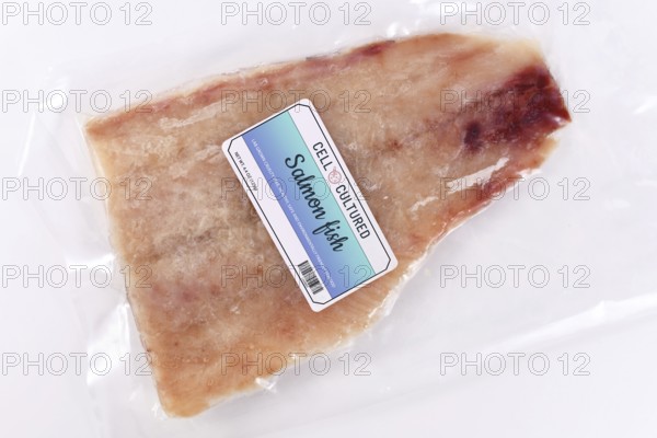 Lab grown cell cultured salmon fish concept for artificial in vitro seafood production with frozen