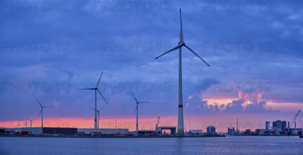 Panorama of wind turbines power electricity generators in Antwerp port in the evening. Antwerp,