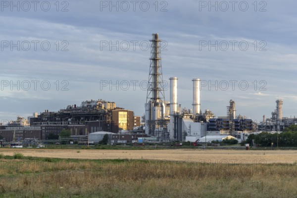 BASF, Lugwigshafen am Rhein, industrial area, dusk, fields, Mannheim, Baden-Württemberg, Germany,