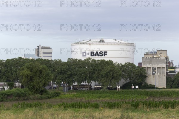 BASF, Lugwigshafen am Rhein, industrial area, Mannheim, Baden-Württemberg, Germany, Europe