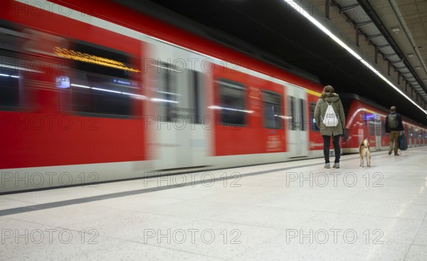 Traveller, dog, underground arriving S-Bahn, train, class 420 in traffic red, platform, stop,