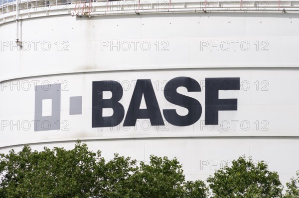 BASF, Lugwigshafen am Rhein, industrial area, Mannheim, Baden-Württemberg, Germany, Europe