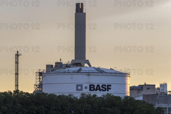 BASF, Lugwigshafen on the Rhine, industrial area, dusk, Mannheim, Baden-Württemberg, Germany,
